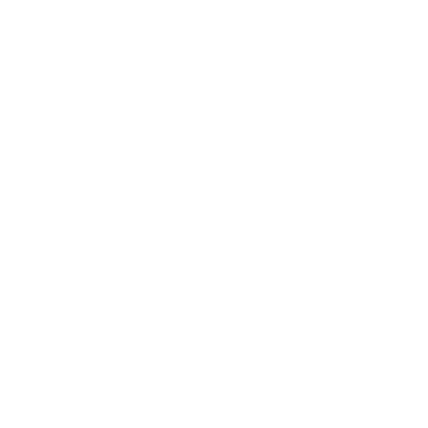 special-party-icon-white